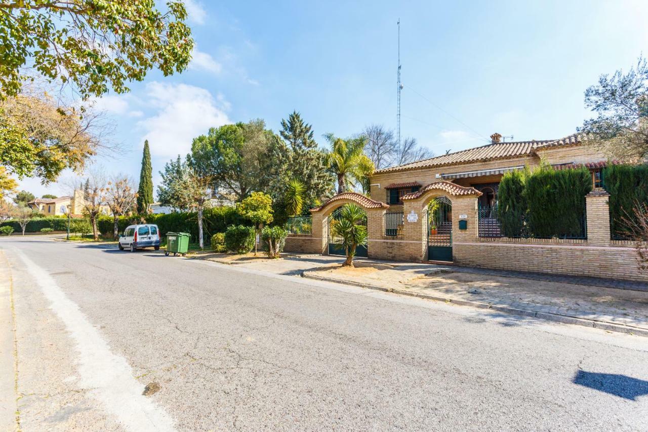 Divi Reyes Mairena del Aljarafe